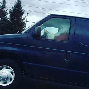 Meet your Posher, Seimore